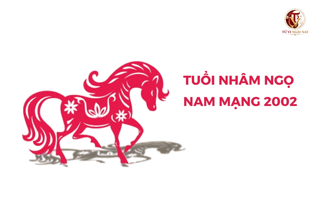 Xem tử vi trọn đời tuổi Nhâm Ngọ 2002 nam mạng chi tiết chính xác
