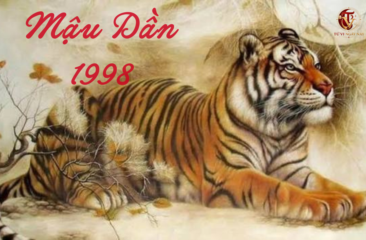 Xem tử vi trọn đời tuổi Mậu Dần 1998 nữ mạng chi tiết chính xác