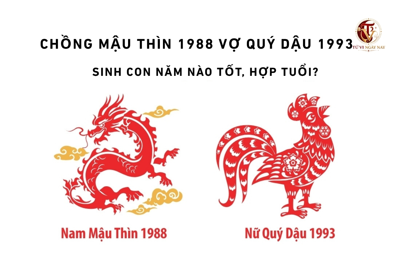 Chồng Mậu Thìn 1988 vợ Quý Dậu 1993 sinh con năm nào tốt, hợp tuổi?