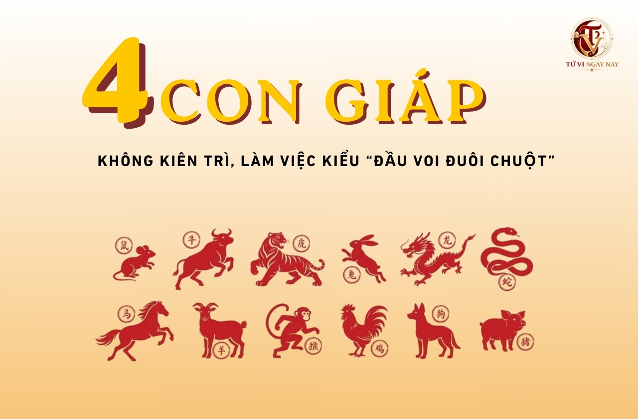 Top 4 con giáp không kiên trì, làm việc kiểu “đầu voi đuôi chuột”