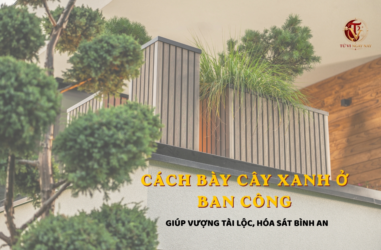 Cách bày cây xanh ở ban công giúp vượng tài lộc, hóa sát bình an